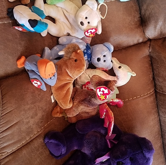 Beanie babies! - Picture 6 of 8
